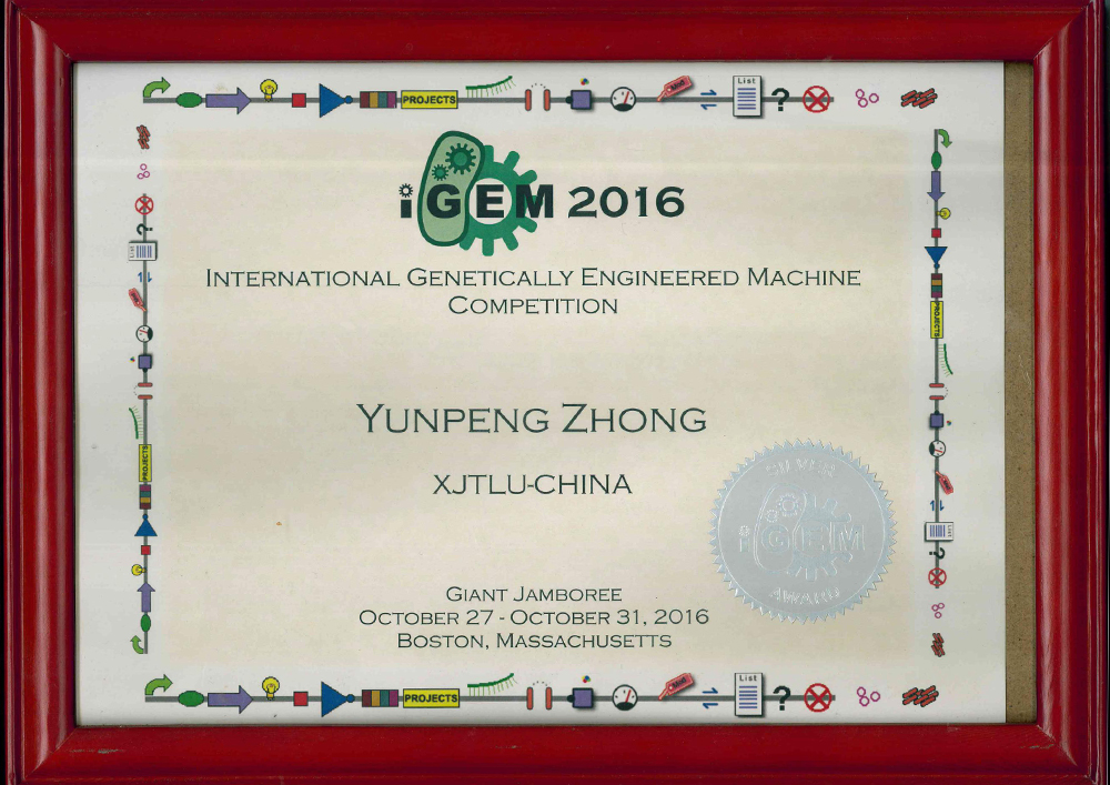 2016 IGEM