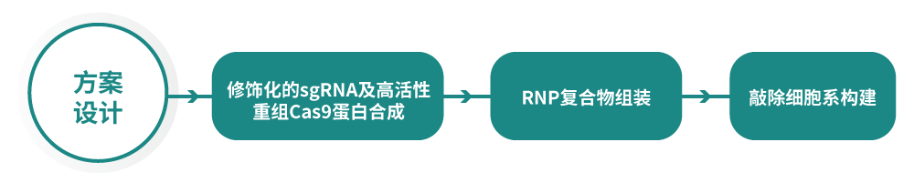 哺乳動物基因編輯