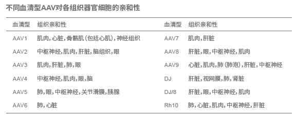 不同血清型AAV對各組織器官細(xì)胞的親和性